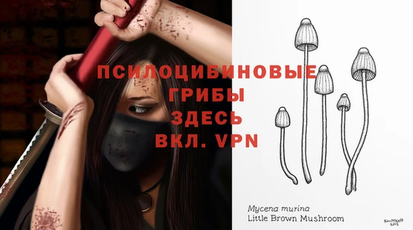 трава Беломорск